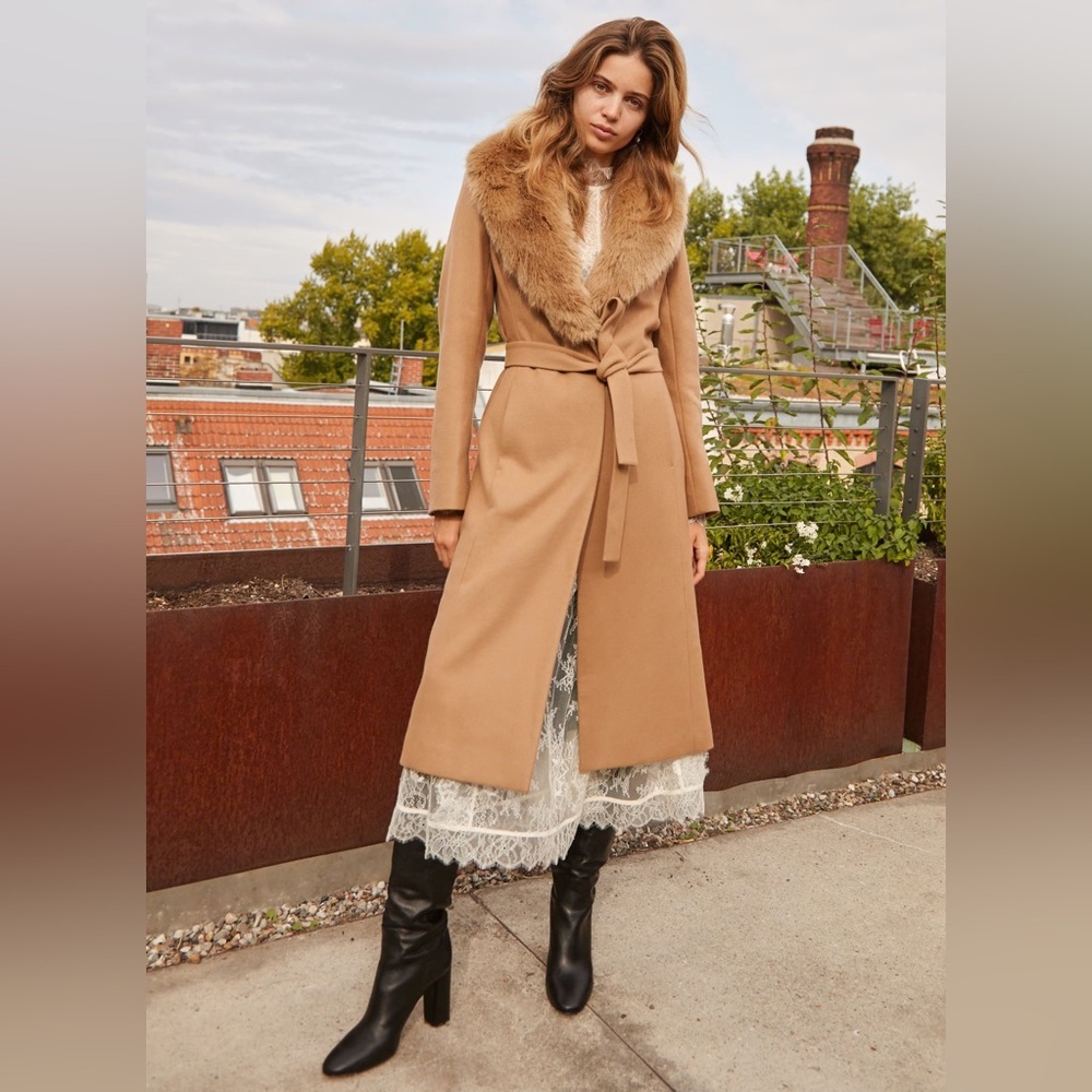 Aritzia Wilfred Waldorf Coat